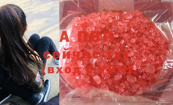 спиды Заволжье