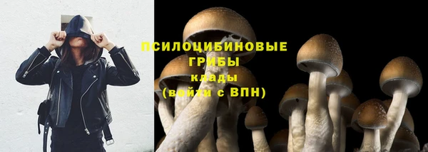 прущая мука Заволжск